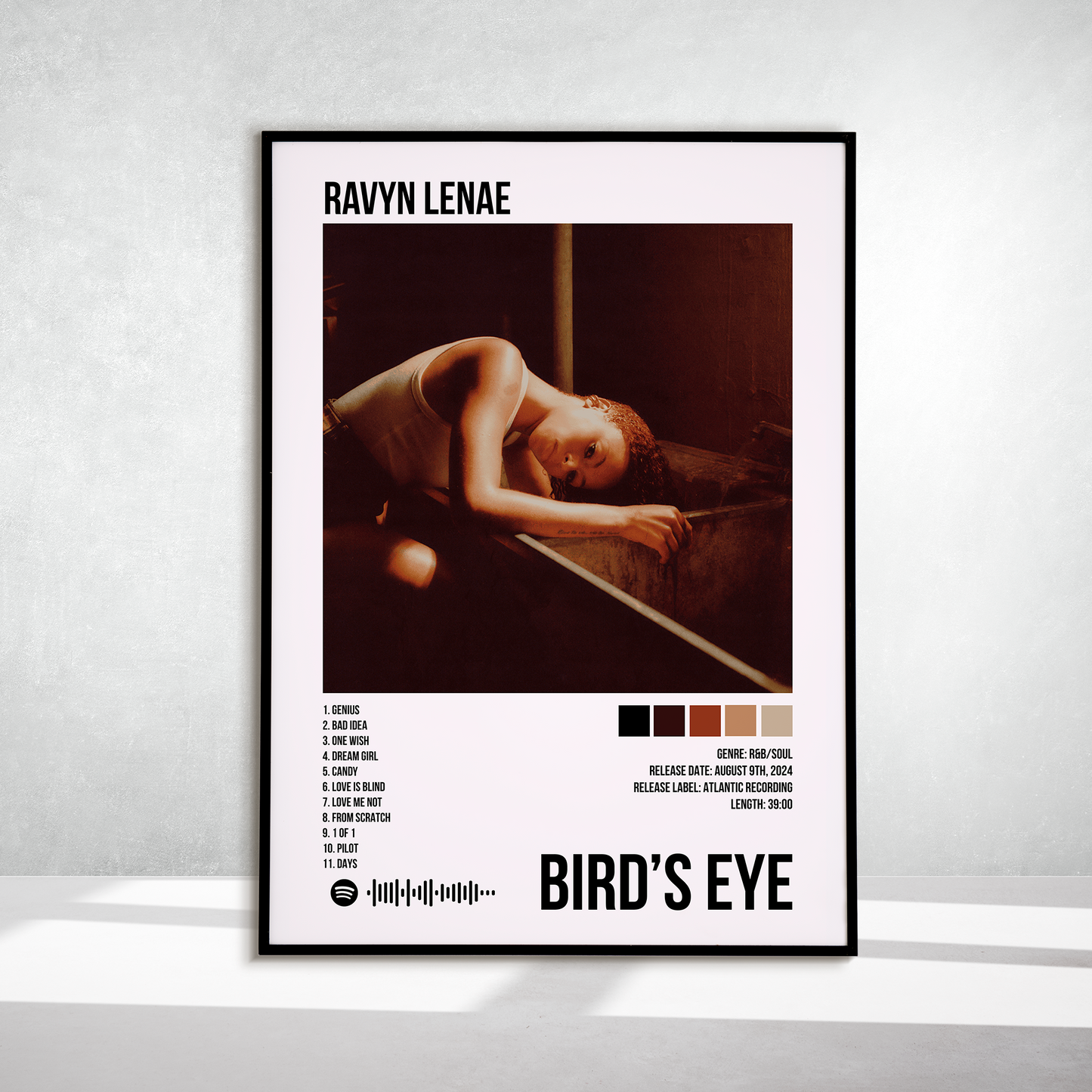 Bird's eye