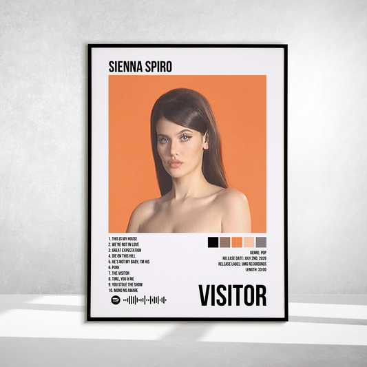 Visitor